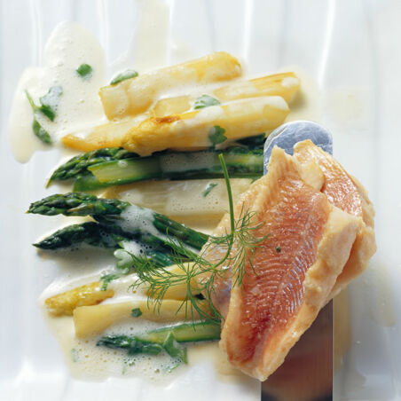 Lauwarmer Saibling auf Spargelgemüse Lauwarmer Saibling auf Spargelgemüse