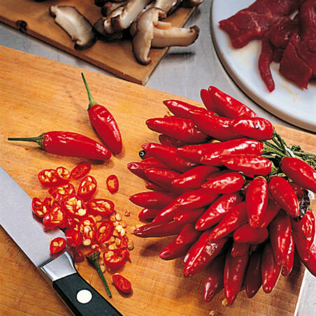 Chinesisches Fondue Chinesisches Fondue