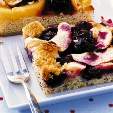 Apfel-Heidelbeer-Kuchen Apfel-Heidelbeer-Kuchen