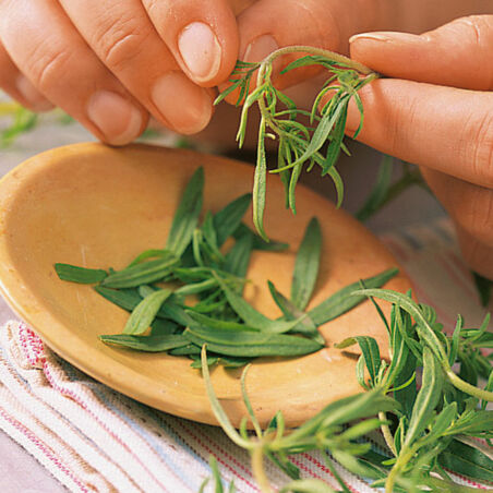 Bohnen-Kartoffel-Pfanne Bohnen-Kartoffel-Pfanne