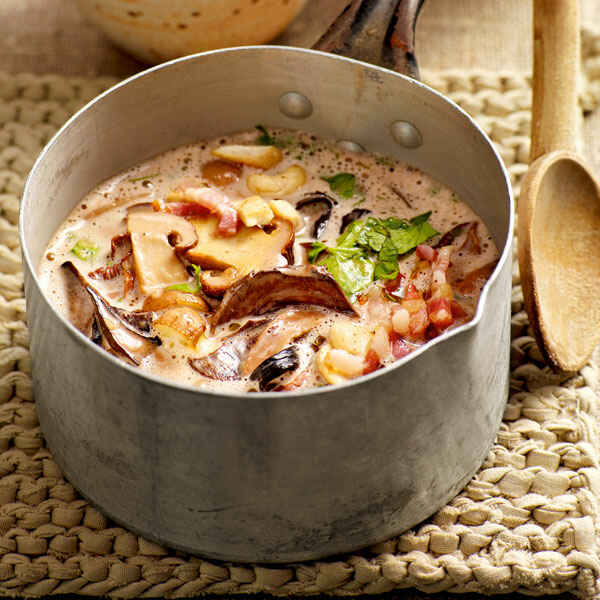 Pilzeintopf mit Nüssen und Koriander Rezept | Küchengötter Pilzeintopf mit Nüssen und Koriander Rezept | Küchengötter