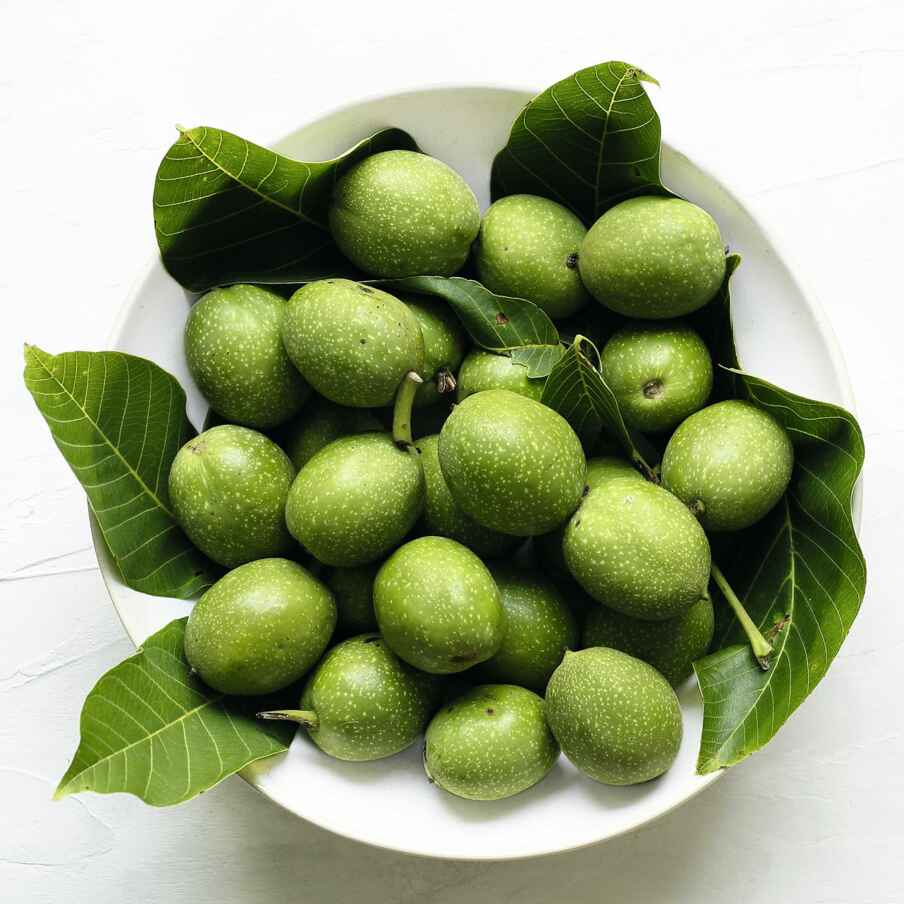 Nussschnaps aus grünen Nüssen Rezept | Küchengötter Nussschnaps aus grünen Nüssen Rezept | Küchengötter