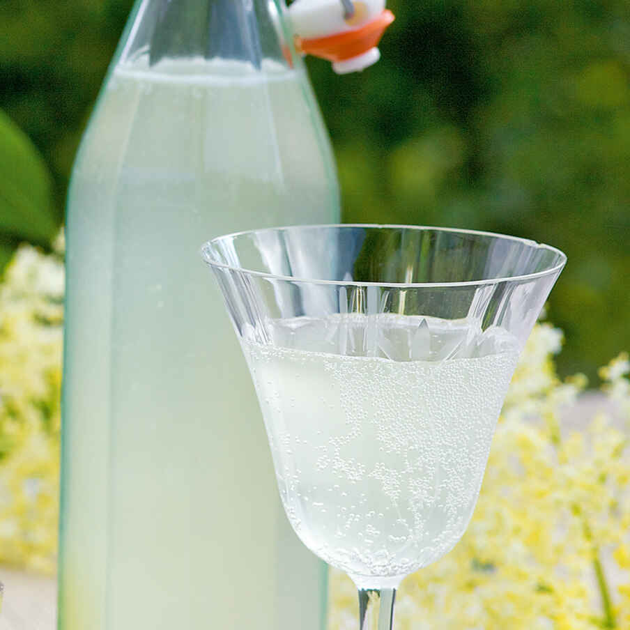 Holunderblüten-»Sekt« Rezept | Küchengötter Holunderblüten-»Sekt« Rezept | Küchengötter