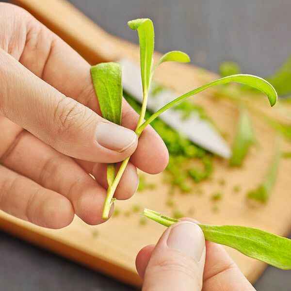 Kräuter-Schmand-Waffeln mit buntem Blattsalat Rezept | Küchengötter