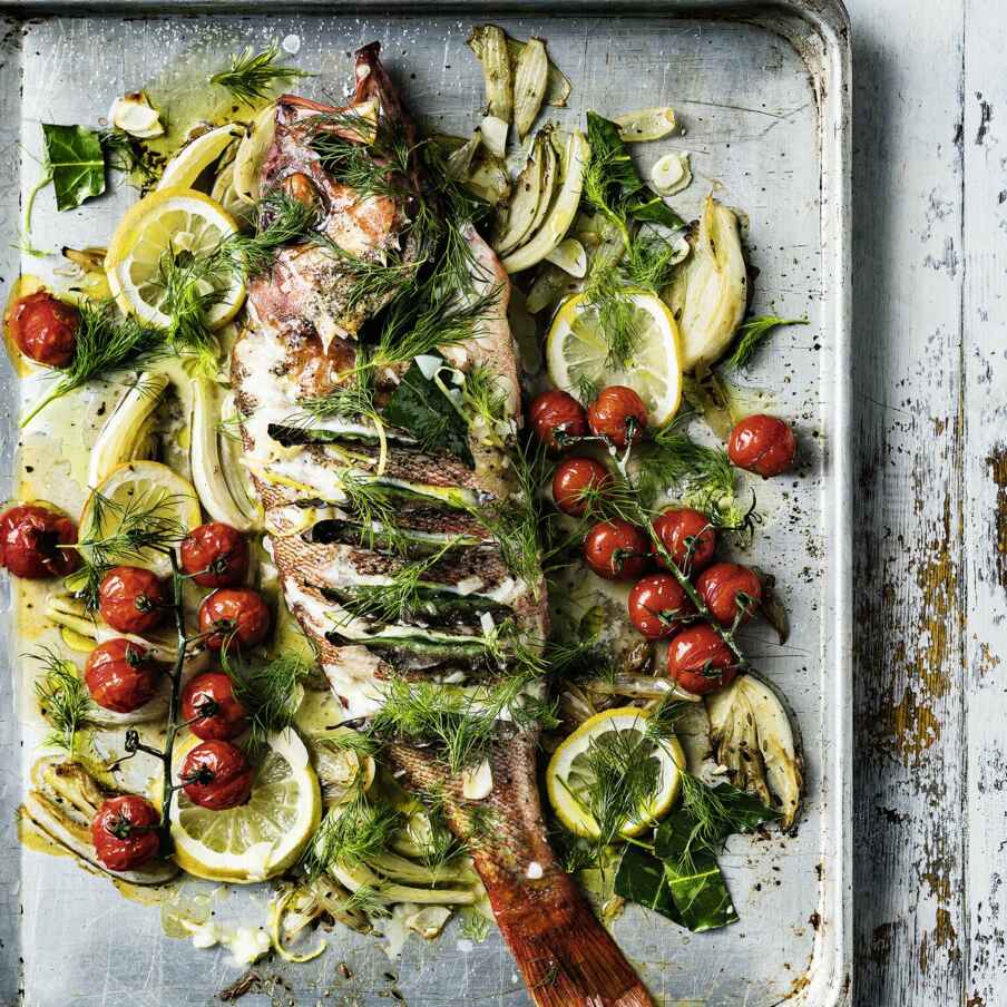 Lorbeergespickter Rotbarsch mit Fenchel Rezept | Küchengötter Lorbeergespickter Rotbarsch mit Fenchel Rezept | Küchengötter