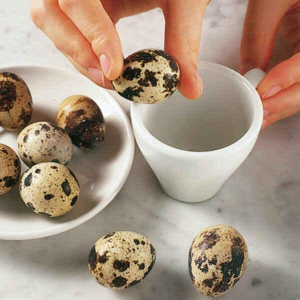 Schnelle Pochierte Eier im Feldsalatnest Rezept | Küchengötter Schnelle Pochierte Eier im Feldsalatnest Rezept | Küchengötter