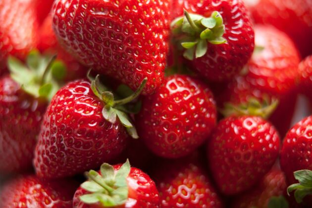 Erdbeeren Unterseite Tipps