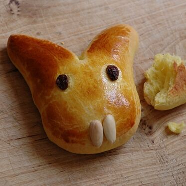 Safran Osterhasen Rezept Kuchengotter