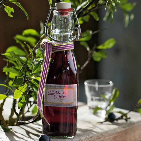 schlehenlikor rezept kuchengotter