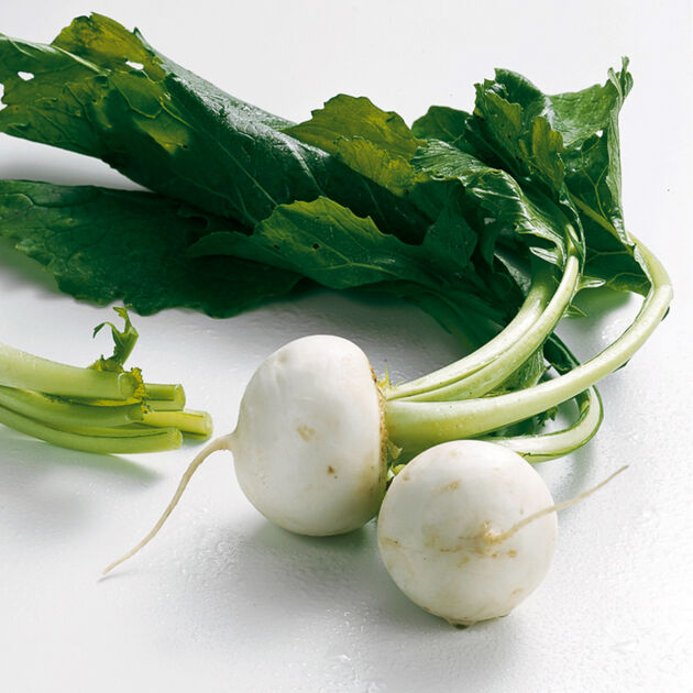 Weiße Rüben | Küchengötter Weiße Rüben | Küchengötter