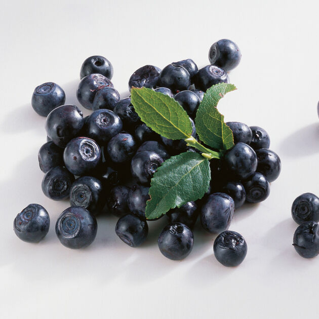 Heidelbeeren Warenkunde | Herkunft, Saison & Verwendung | Küchengötter Heidelbeeren Warenkunde | Herkunft, Saison & Verwendung | Küchengötter