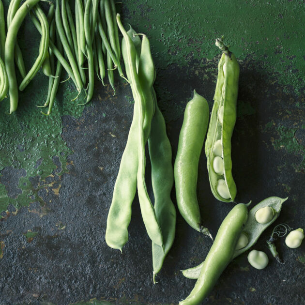 Bohnen | Küchengötter Bohnen | Küchengötter