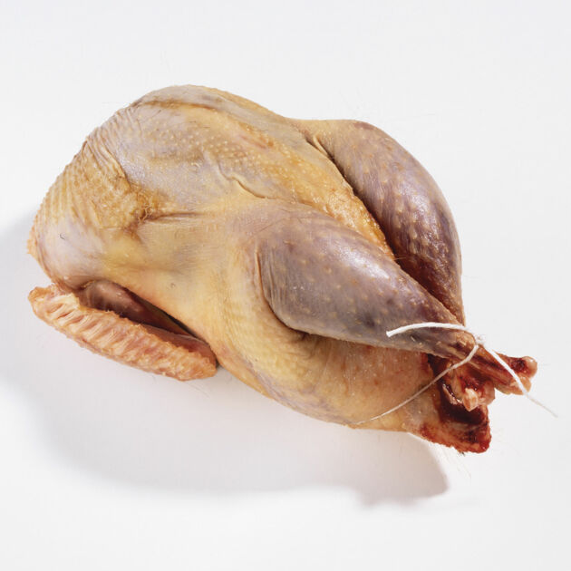 Fasan | Küchengötter