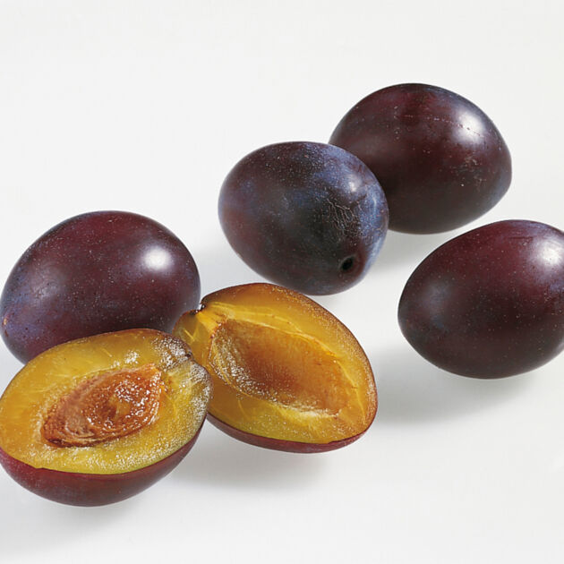 Zwetschgen | Lebensmittel-Warenkunde | Küchengötter Zwetschgen | Lebensmittel-Warenkunde | Küchengötter