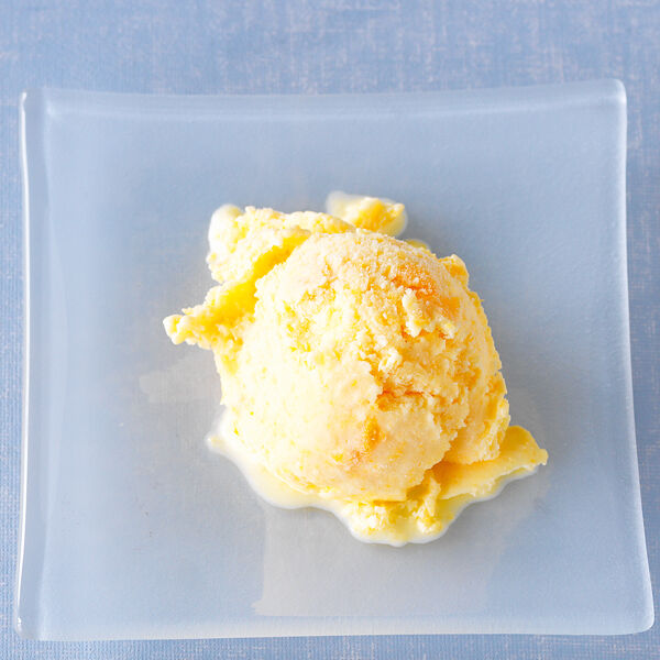 pfirsich aprikosen eis rezept kuchengotter