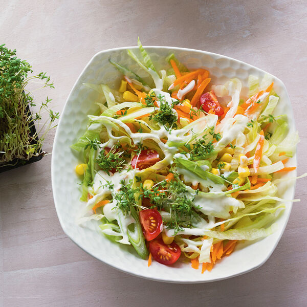 Bunter Salat Mit Kressesauce Rezept Kuchengotter 