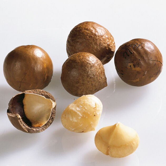 Macadamianüsse | Lebensmittel-Warenkunde | Küchengötter