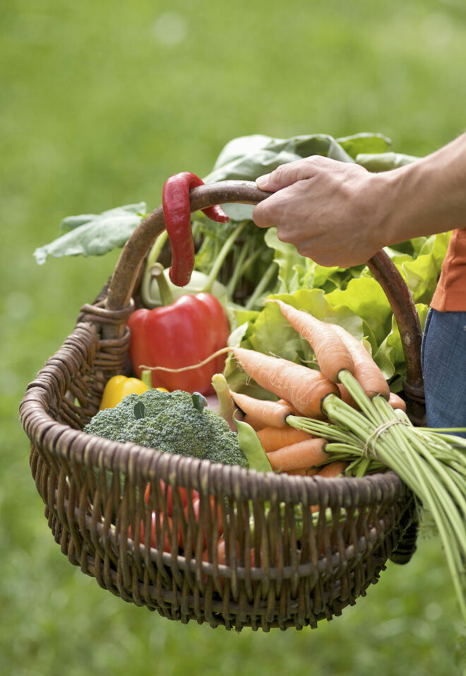 Buffet planen Einkauf Buffet planen Einkauf