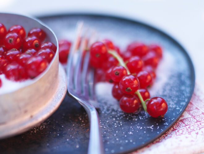 Johannisbeeren Rezepte und Tipps Johannisbeeren Rezepte und Tipps