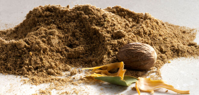 Muskatnusspulver - Muskatnuss Lebensmittel-Warenkunde Muskatnuss gerieben