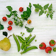vegan Wissenswertes