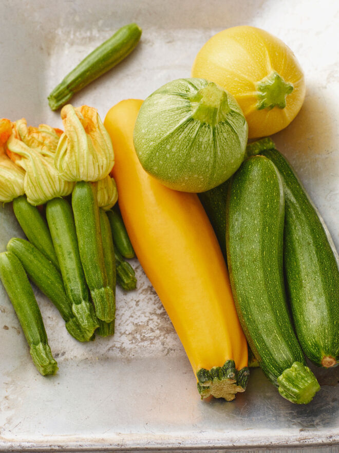 Zucchini