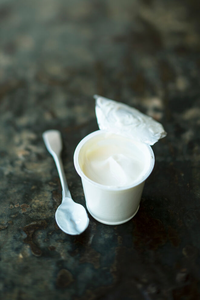 Laktose Joghurt