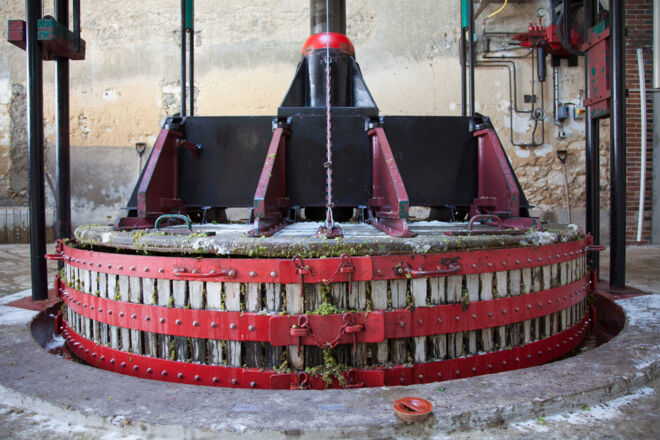 Weinkunde Weinpresse