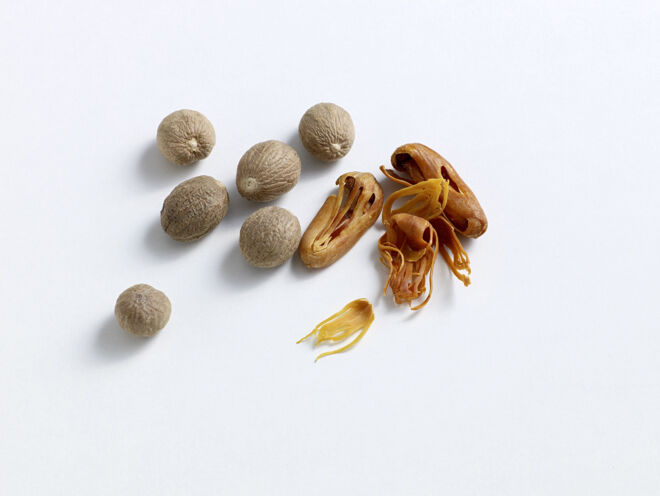 Muskatnüsse mit Schalen - Muskatnuss Lebensmittel-Warenkunde Muskatnüsse mit Schalen