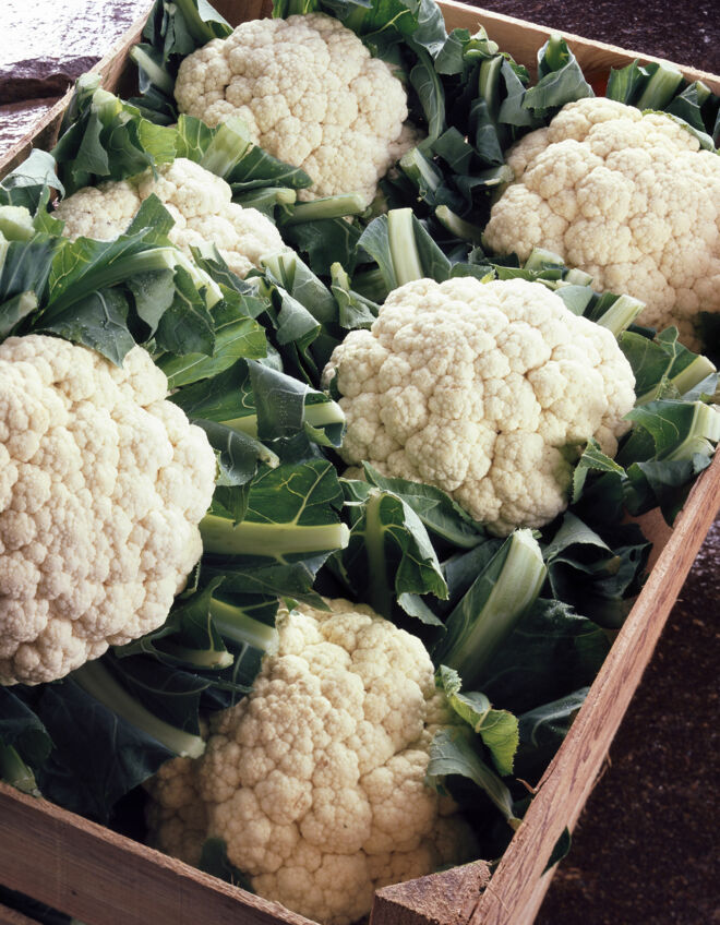 Blumenkohl Inhaltsstoffe Blumenkohl Inhaltsstoffe