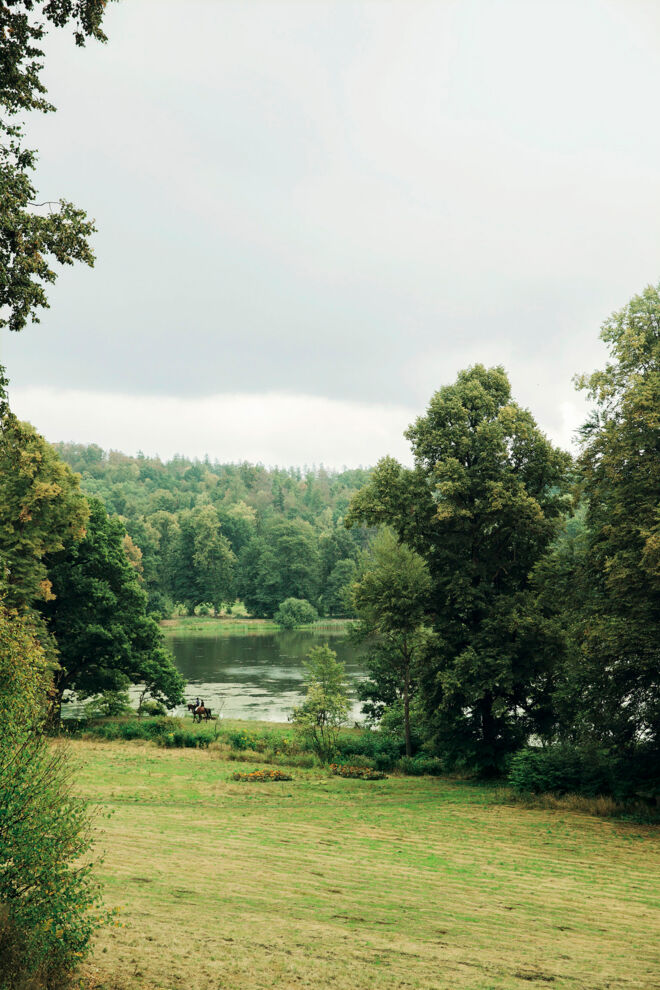 Weinkunde Weindüfte Wald Wiese