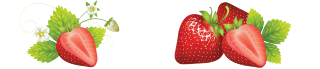 erdbeer-bottom
