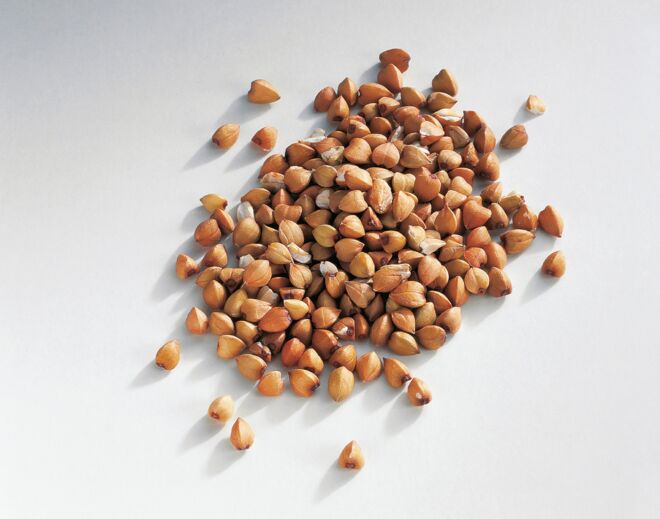 Ein Häufchen Buchweizen Körner - Lebensmittel-Warenkunde Buchweizen Buchweizen