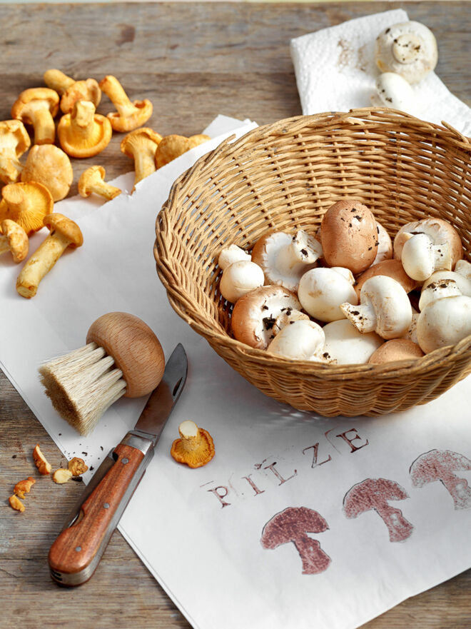 Pilze richtig putzen Pilze richtig putzen