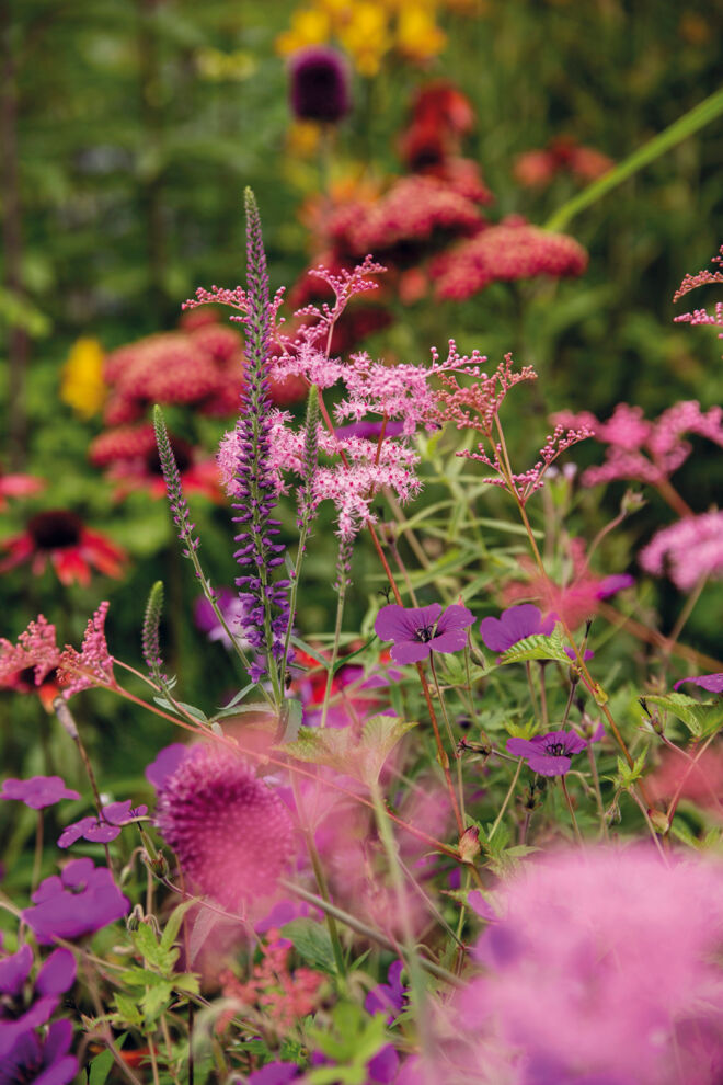 Weinkunde Weindüfte Blüten