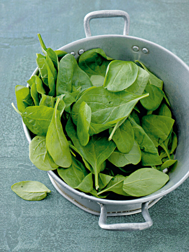 Spinat Wissenswertes und Warenkunde Spinat Wissenswertes und Warenkunde