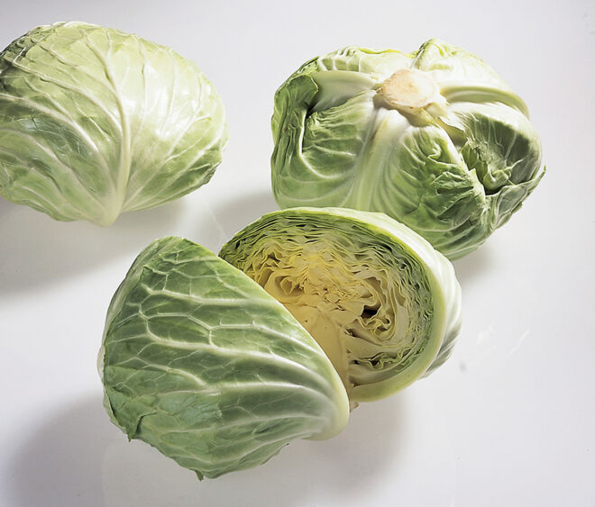 Weißkohl