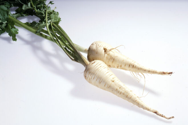 Pastinaken Pastinaken