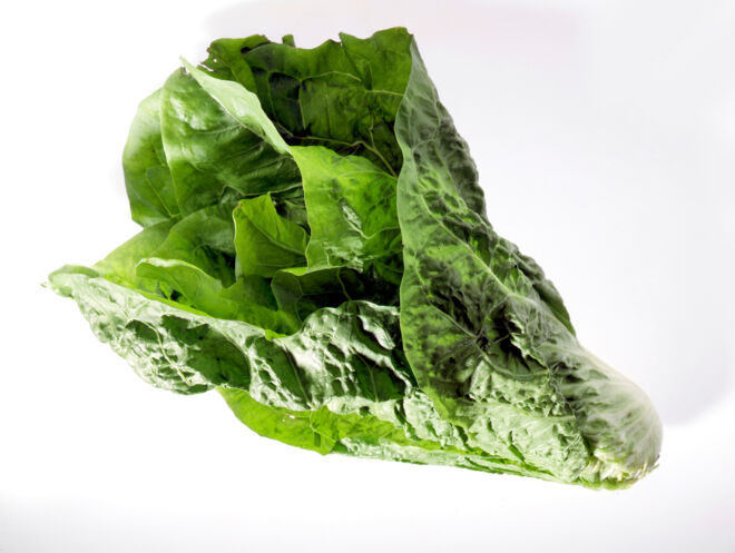 Zuckerhutsalat