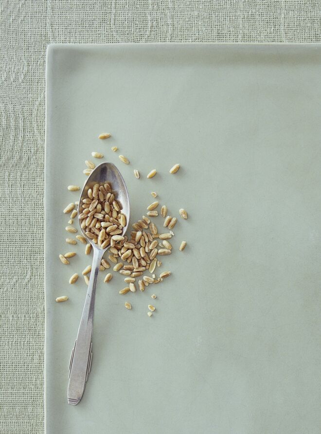 Dinkel Getreide Körner auf Löffel - Dinkel Lebensmittel-Warenkunde Dinkel