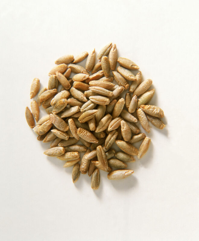 Brot backen Dinkel