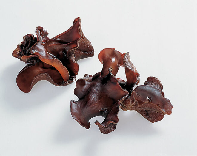 Seltene Pilze Mu-Err Seltene Pilze Mu-Err