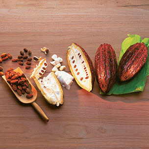 Kakaobohnen Kakaobohnen