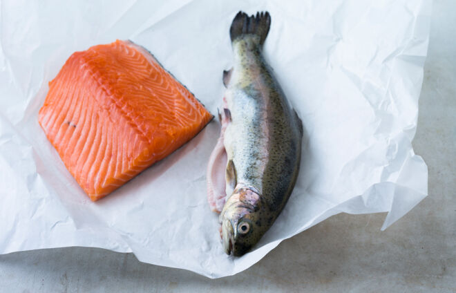 Sushi selber machen Fisch richtig kaufen