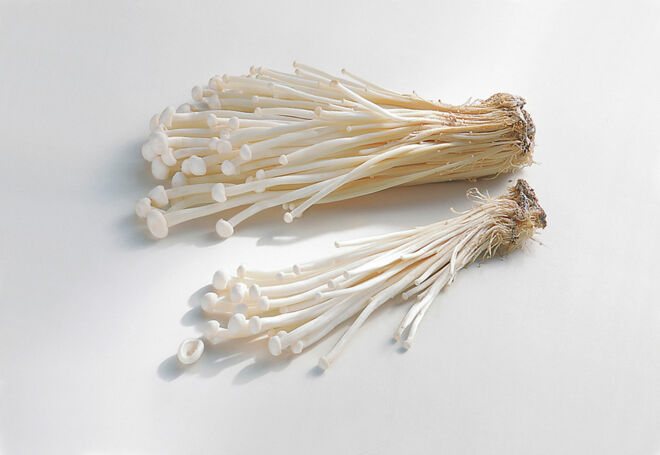 Seltene Pilze Enoki Seltene Pilze Enoki