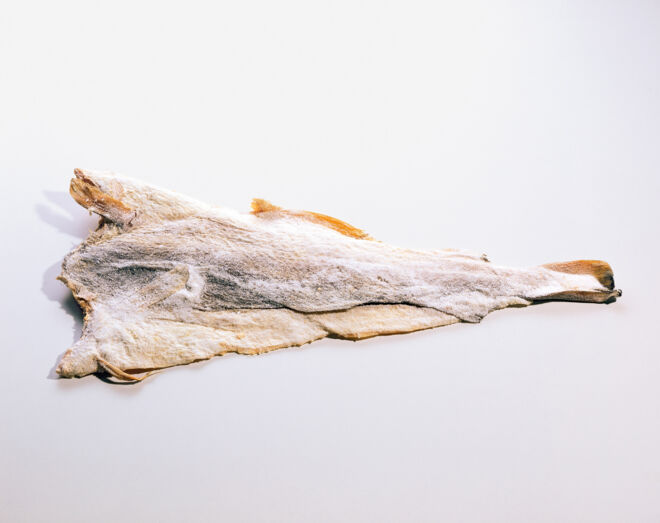 Stockfisch Stockfisch