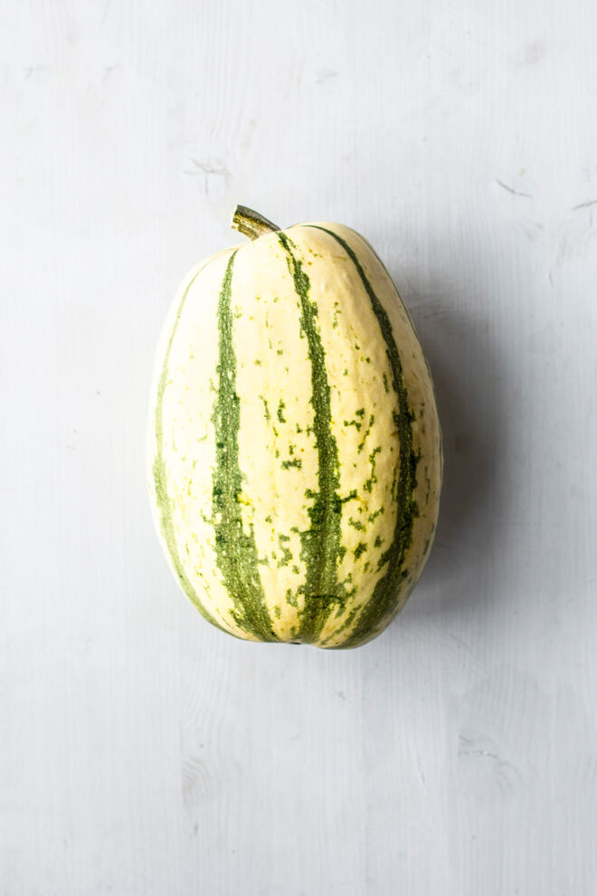 Spaghettikürbis Spaghettikürbis