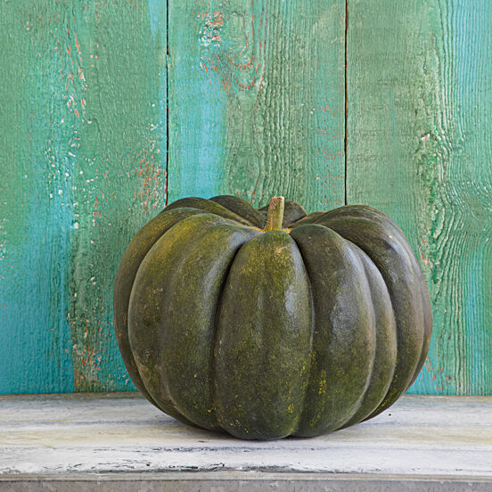 Kürbissorten Muskat-Kürbis Kürbissorten Muskat-Kürbis