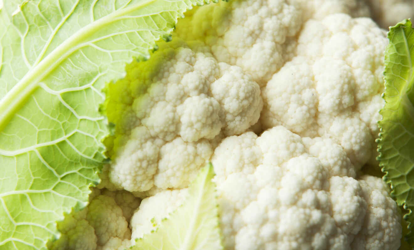 Blumenkohl Rezepte, Tipps & Ideen Küchengötter