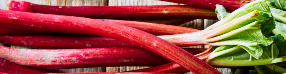Rhabarber – Leckere Rezepte & Einfache Zubereitungstipps | Küchengötter